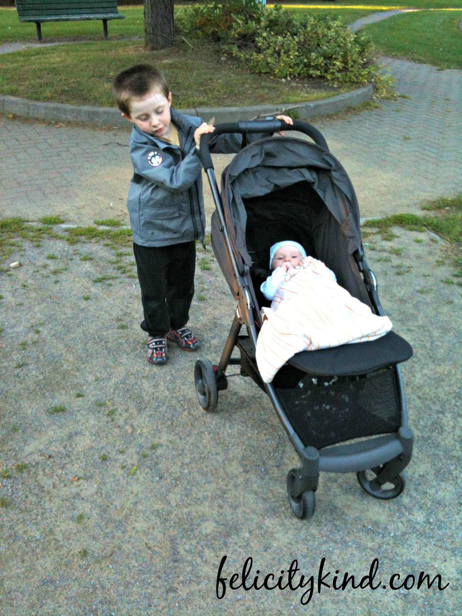 armadillo stroller review